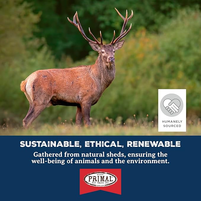 Primal Antlers for Dogs - Grade A Split Moose Antlers for Large Dogs 30-45 lb - Natural Dog Chews for Aggressive Chewers - Naturally Shed Antlers - Long Lasting Dog Bones - 1 ct