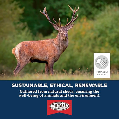 Primal Antlers for Dogs - Grade A Split Moose Antlers for Large Dogs 30-45 lb - Natural Dog Chews for Aggressive Chewers - Naturally Shed Antlers - Long Lasting Dog Bones - 1 ct