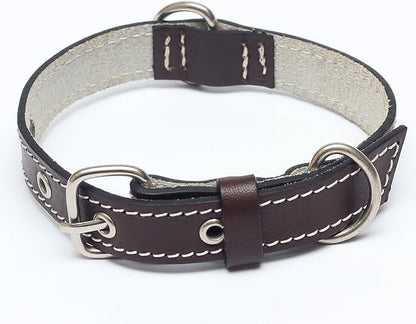Premium Leather Collars with Stainless Steel Buckles (9"-12", Chocolate)