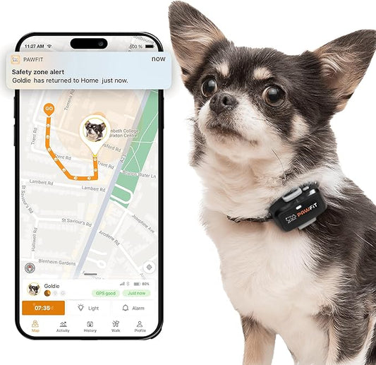 Lite for Small Dogs 4g GPS Tracker | Real Time Tracking | Activity Monitoring |Location History | Unlimited Range | Onyx Black