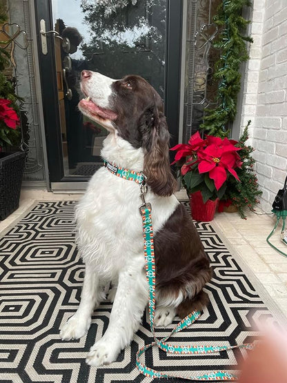 Lucky Love Dog Collar, Collars for Small Dogs, Peace Sign Dog Collar, Easy On & Off Clasp Accessory, Peace On Earth, Small