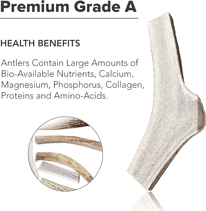 Split Elk Antlers for Dogs - Naturally Shed Split Antlers for Dogs - No Artificial Colors Split Dog Antlers - Long-Lasting Split Elk Antler - Premium Dog Antler Chews (Medium, 6 inches)