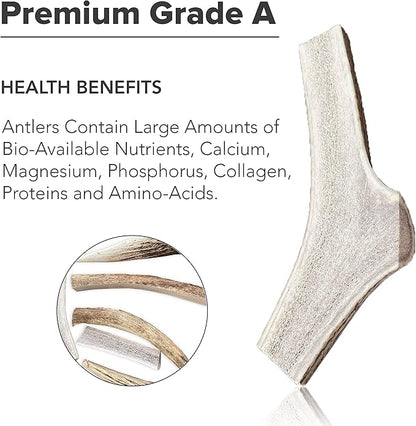 Split Elk Antlers for Dogs - Naturally Shed Split Antlers for Dogs - No Artificial Colors Split Dog Antlers - Long-Lasting Split Elk Antler - Premium Dog Antler Chews (Medium, 6 inches)