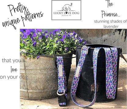 Lucky Love Dog Martingale Collar, Premium No Slip Collar for Medium Dogs, Flower Martingale Collar for Girl Dogs, Great for Whippets, Greyhounds, and More (Primrose, Medium)