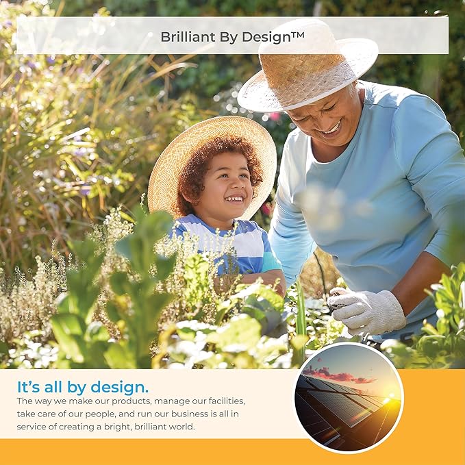 Suncast Deluxe Dog House for Dogs up to 100 Pounds with Removable Roof, Vents, Crowned Channeled Floor, and Personalization Labels, Taupe/Blue