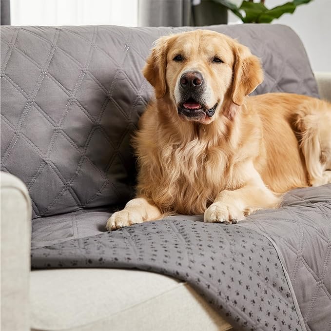 Gorilla Grip 100% Waterproof Dog Blanket, Pet Friendly Sofa Throw Essential for Small Pets, Dogs, Cats, Tear and Slip Resistant Leakproof Couch Cushion Cover for Indoor Furniture, 40x50 Charcoal