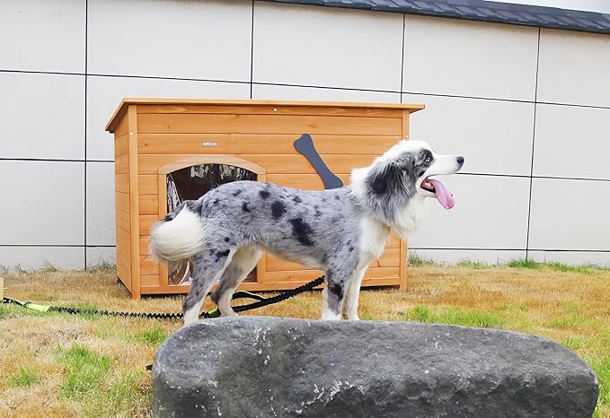 Wooden Doghouse for Small, Medium, Large Dogs, Waterproof, Outdoor/Indoor Kennel,Puppy Shelter with Elevated Floor (Natural, L)