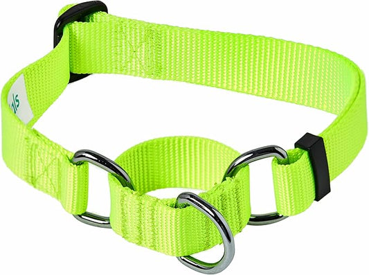 Blueberry Pet Essentials Martingale Safety Training Dog Collar, Highlighter Yellow, Medium, Heavy Duty Nylon Adjustable Collars for Dogs
