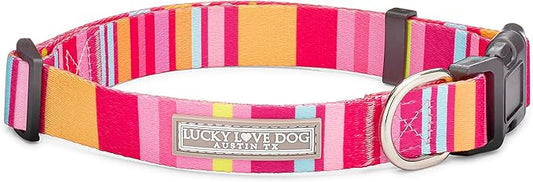 Lucky Love Dog, Colorful Stripes Dog Collar, Yellow, Pink, Blue Color Dog Collar, Cute Dog Collar for Girl Dogs - (Medium, Molly Collar)