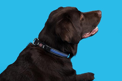 Bundle Pack FA29 PET Tracker- Waterproof, SIM Card Included with LED Collar and 1 Month Free Trial,Everything Included (Medium, Blue)