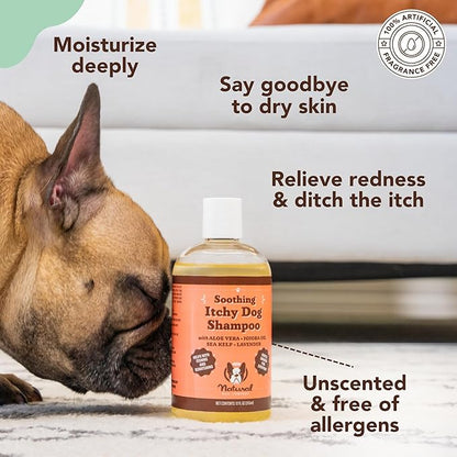 Natural Dog Company Grooming Bundle with (1) Itchy Dog Shampoo,12 oz. and (3) Grooming Wipes, 50 Count Each