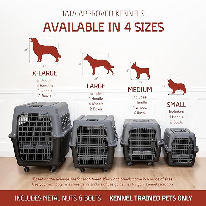 SportPet Designs Plastic Airline Approved Kennels Wire Door Travel Dog Crate, Medium