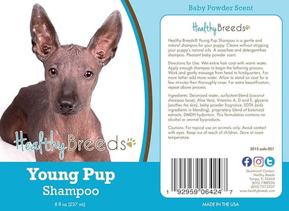 Healthy Breeds Xoloitzcuintli Young Pup Shampoo 8 oz