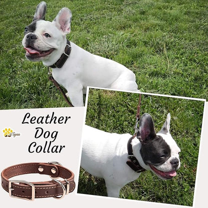Heavy Duty Leather Dog Collar for Small Dogs - Soft and Strong Dog Collar for Puppy or Small Dogs (Small: Fit 10" - 14.5" Neck, Brown)