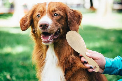 Pets First Deluxe 3 Piece Pet Brush & Comb Grooming Set - Luxury Grooming Set for Pets - Flexible Rubber Sleeve + Short Hair Pet Comb + Double Sided Detangling Brush