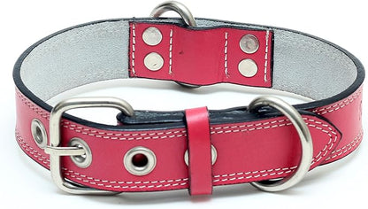 Premium Leather Collars with Stainless Steel Buckles (15"-18", Pink)