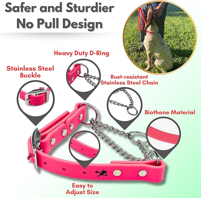 Martingale Collar for Dogs, Biothane, Stainless Steel Hardware, No Pull, Made in The USA, Professional Grade, Small, Pink