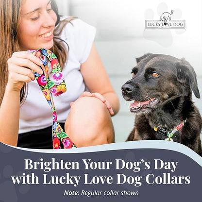 Lucky Love Dog Martingale Dog Collar - Adjustable, No-Slip, Durable, & Soft Webbing Dog Collar for Male and Female Dogs Ideal for Training & Walking - Stylish Blackbird Pattern, Small Size