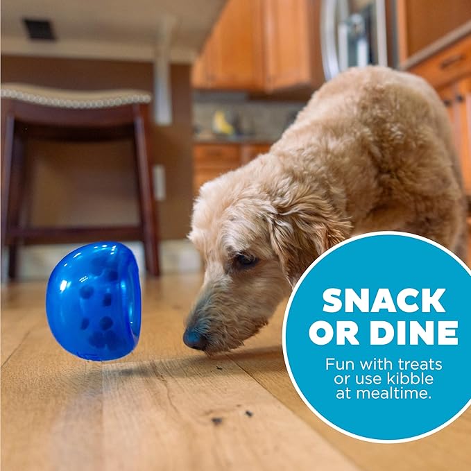 Outward Hound by Planet Dog Lil' Snoop Interactive Treat Dispensing Dog Toy, Small, Royal Blue