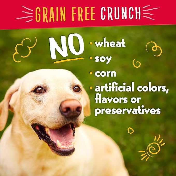 Charlee Bear Dog Treats Small Dogs Training Treats, Crunchy Low Calorie Grain Free Dog Treats, USA Made, Best for Small-Medium Breeds, Puppy Training Treats, Chicken, Pumpkin, Apple, 2 Pack, 8oz Each