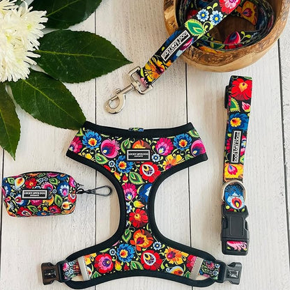 Lucky Love Dog - Easy Click Buckle Dog Collar with Leash Set Combo, Durable & Comfortable Collar for Male & Female Dogs, Pet Collar for Small to Large Dogs, Secure Fit - Blackbird Combo, Large