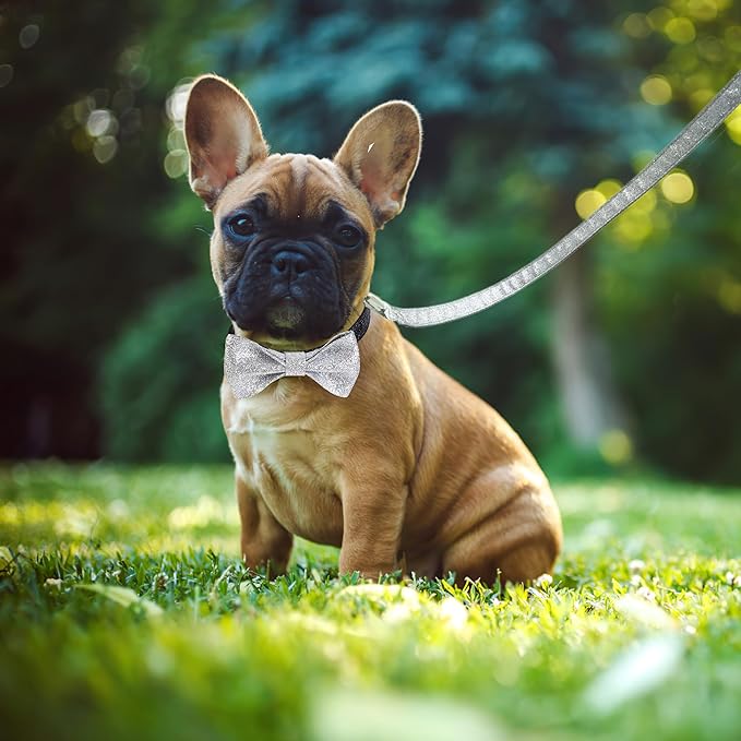 Bling Bow Tie Dog Collar and Leash Set, Cute Black Boy Dog Collar with Bow and 5ft Leash for Small Medium Dogs Daily Walking or Holiday Party (Neck fit 11-16’’)