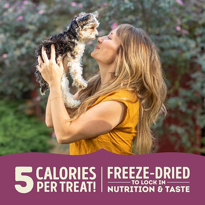 Singles Freeze Dried Dog Treats, Limited Ingredient Grain Free Lamb & Apple Recipe, 3.25oz