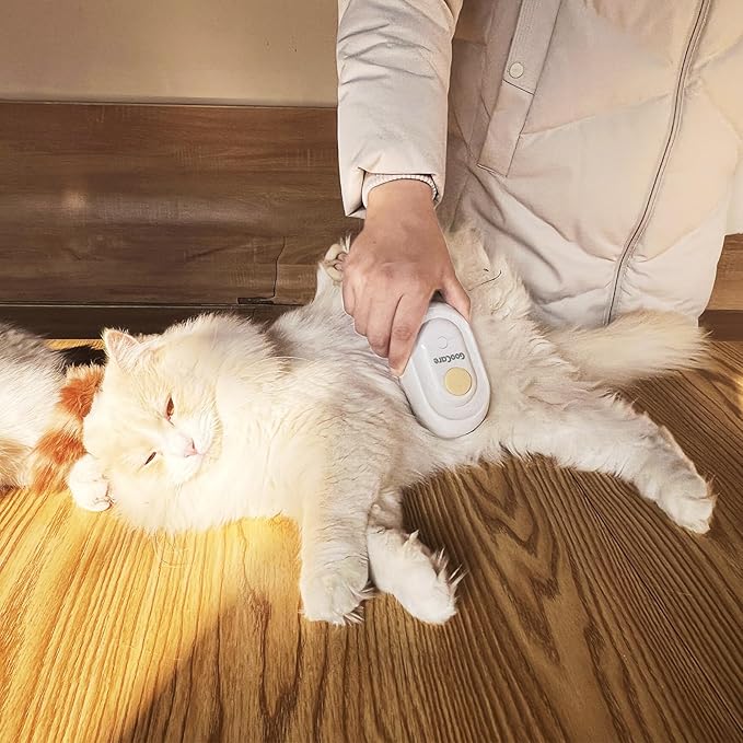 Soft 3-in-1 Silisone Spray Brush, Upgraded for Shedding, Cleaning and Spa Massage, Hair Removal, Best Water Steam Brush for indoor Long or Short Haired Cat and Dog (White, Round)