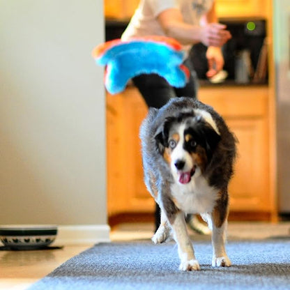 Chuckit! Indoor Fetch Squirrel Dog Toy (9 Inch), Orange and Blue