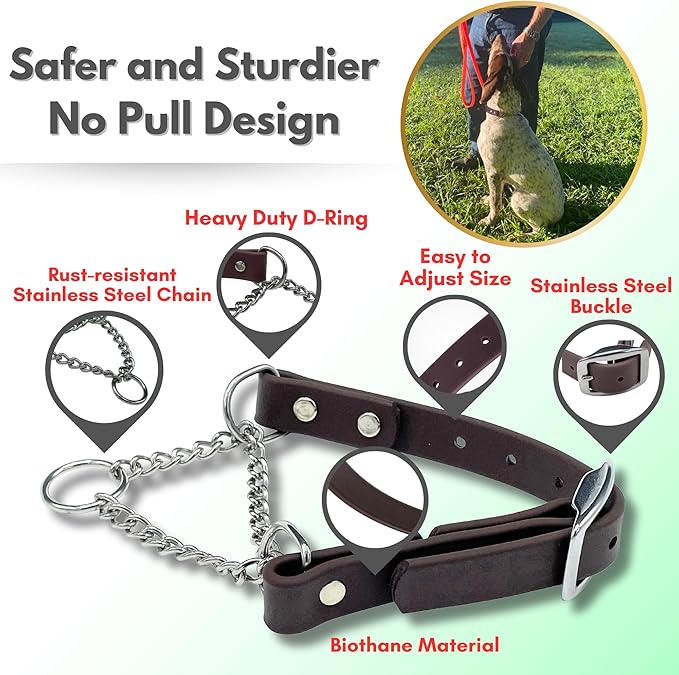 Martingale Collar for Dogs, Biothane, Stainless Steel Hardware, No Pull, Made in The USA, Professional Grade, Small, Brown