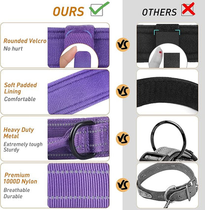 AUBELL Reflective Dog Collar, Tactical Dog Collar for Medium Dogs, Heavy Duty Dog Collar with Handle and Metal Buckle Great for Female Dogs, with Airtag Holder and 2 Patches(Purple, M)