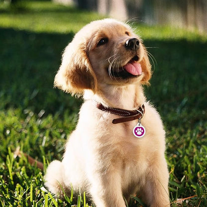 QR Code Dog Tag Silent Id Pet Tags Personalized Name Plate with Online Profile (Large, Pink Paw)