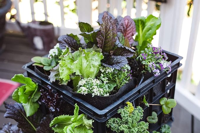 L121212 Smart Pot Milk Crate Liner, 12" x 12" x 12", Black