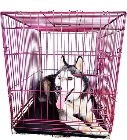 PET Expressions Luxury Colorful 36 Inch Foldable Dog Crate with 2 Doors | Free Training Ebook and Pet Calming Music | 3 Colors & 3