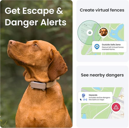 Tractive GPS Dog Tracker (2025 Release with Free 6 Month Subscription) | Real-time Pet Location Tracker | Health & Wellness Alerts | Virtual Fence for Dogs | Bark Monitoring (Brown)