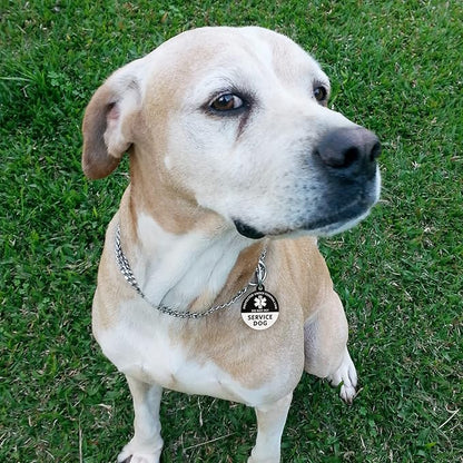 MYLUCKYTAG Service Dog Tag, QR Code Stainless Steel Pet ID Tag Dog Tag, Online Pet Profile, Pet Location Alert Email, Digital Pet Tag, Durable Pet ID, Dog Collar Tag, Engraved Pet Tag