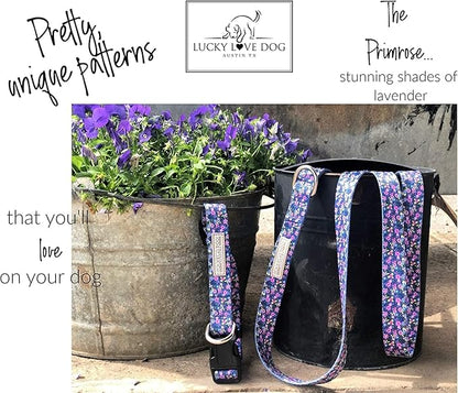Lucky Love Dog Martingale Collar and Leash Set, Premium No Slip Collar for Small Dogs, Flower Martingale Collar for Girl Dogs, Great for Whippets, Greyhounds, and More (Primrose, Small - Combo)