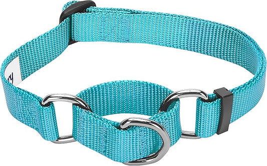Blueberry Pet Essentials Martingale Safety Training Dog Collar, Turquoise, Large, Heavy Duty Nylon Adjustable Collars for Dogs