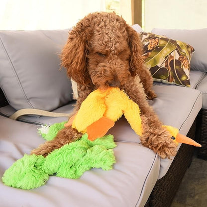 FGA MARKETPLACE Frog-Grey Rabbit- Duck Flat NO Stuffing NO Squeak Plush Dog Toy, Funny Style Will Entertain Your Dog for Hours, Recommended for Small and Medium Dog 21 INCH Long