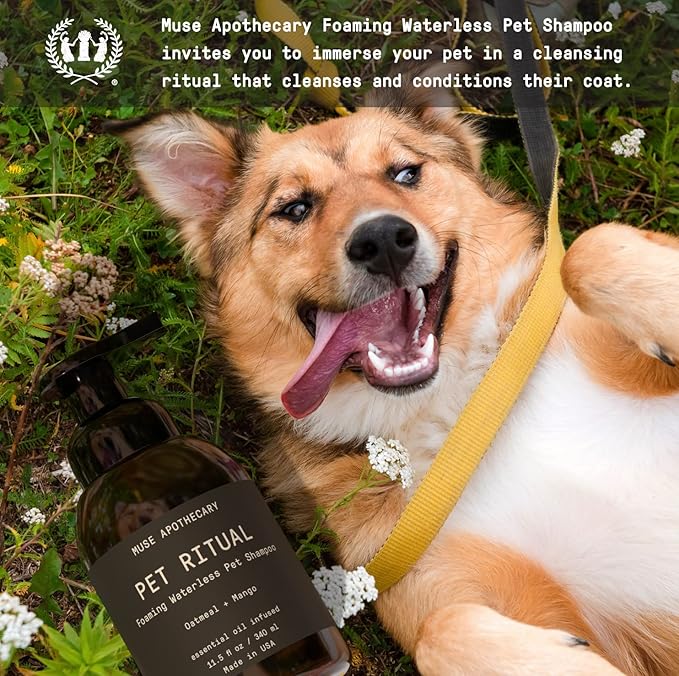 Muse Apothecary Pet Ritual Foaming Waterless Shampoo for Dogs, Waterless Dog Shampoo Foam, No Rinse Dog Shampoo, Waterless Dog Shampoo for Large Dogs - Essential Oils Infused, 11.5oz Fresh Bouquet