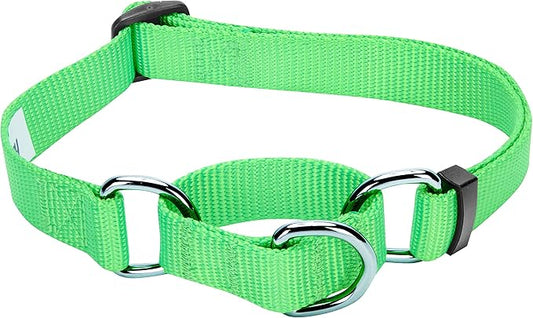 Blueberry Pet Essentials Martingale Safety Training Dog Collar, Neon Green, Medium, Heavy Duty Nylon Adjustable Collars for Dogs