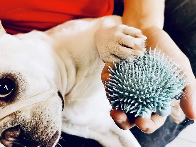 Dog Bath Brush,Soft Pet Shampoo Brush,Cat Puppies Massage Brush for Massaging Washing＆Bathing(Blue)