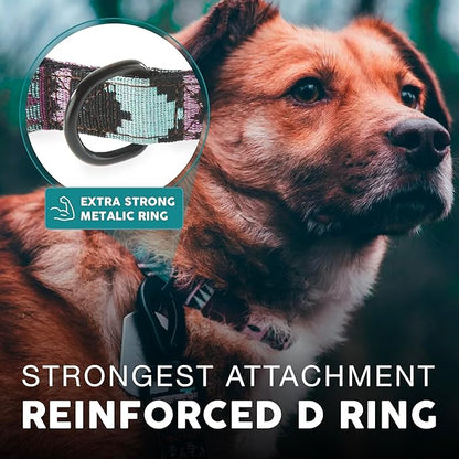 Embark Urban Dog Collar – Dog Collar Stylish & Durable Nylon Dog Collar for Large Dogs, Small Dogs & Medium Dogs.Comfortable Pet Collar Strong Buckles for Any Size Breed |Puppy Collars|
