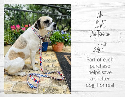 Lucky Love Dog Collar Combo Set, Strawberry Cute Girl Dog Collar and Leash Set, Dog Collar and Leash Set for X-Small Dogs, Part of Purchase Donated to Rescue (Extra Small, Sweet Berry, Combo)
