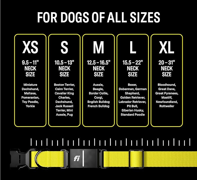 Fi Series 3 Smart Dog Collar - GPS Dog Tracker and Activity & Health Monitor, Waterproof, LED Light, Escape Alerts, Nationwide Coverage [Free 1 Year Membership] (Pink, X Small)