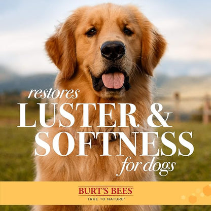 Burt's Bees for Pets Palm Brush with Hemp Bristles | Best Ergonomic Dog Brush To Groom Large Dogs | Easy to Hold Dog Brush Handle Reduces Stress On Your Wrist | Ideal for Daily Grooming