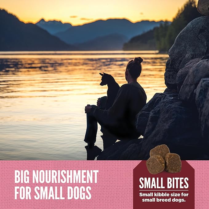 ORIJEN Amazing Grains™ Small Breed Dry Dog Food Recipe, 10lb
