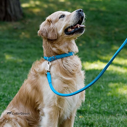 CollarDirect Rolled Leather Dog Collar, Soft Padded Round Puppy Collar, Handmade Genuine Leather Collar Dog Small Large Cat Collars 13 Colors (16-20 Inch, Blue Textured)'
