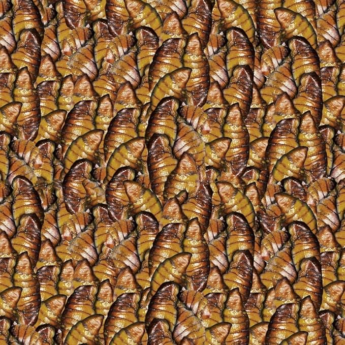 sera 7145 Koi Nature 11.6 oz 1.000 ml Pet Food, One Size