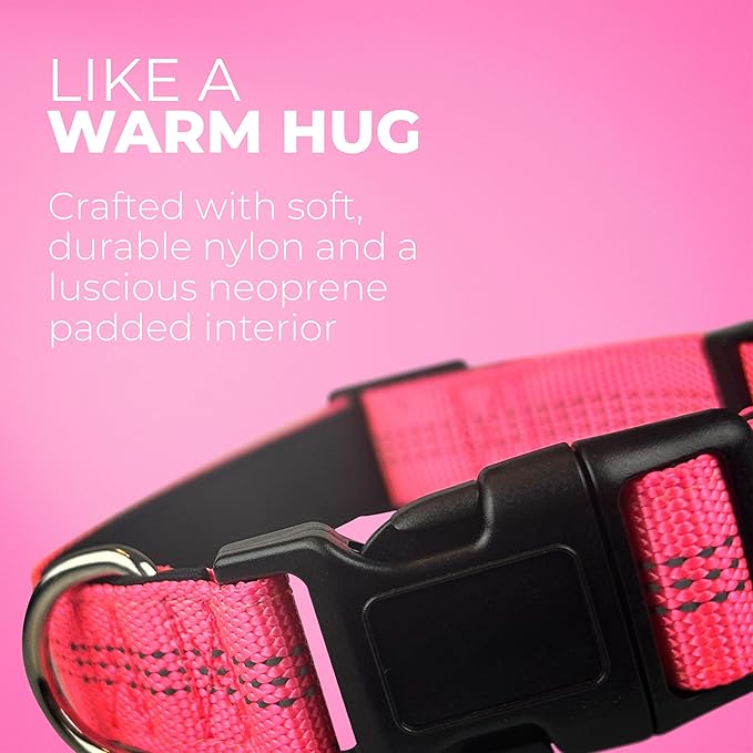 BLAZIN 'Color Me Happy!' Reflective Dog Collar for Day and Night - Adjustable Soft Neoprene Padded Dog Collar in 4 Vibrant Colors - Keeps Dogs Safe and Stylish - for Every Day Use (Medium, Orange)